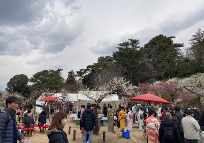 少し雲が厚くなり午後はぐっと冷え込みました