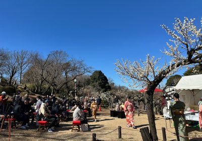 2日目の朝は快晴